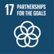 17 Partnerships for the Goals